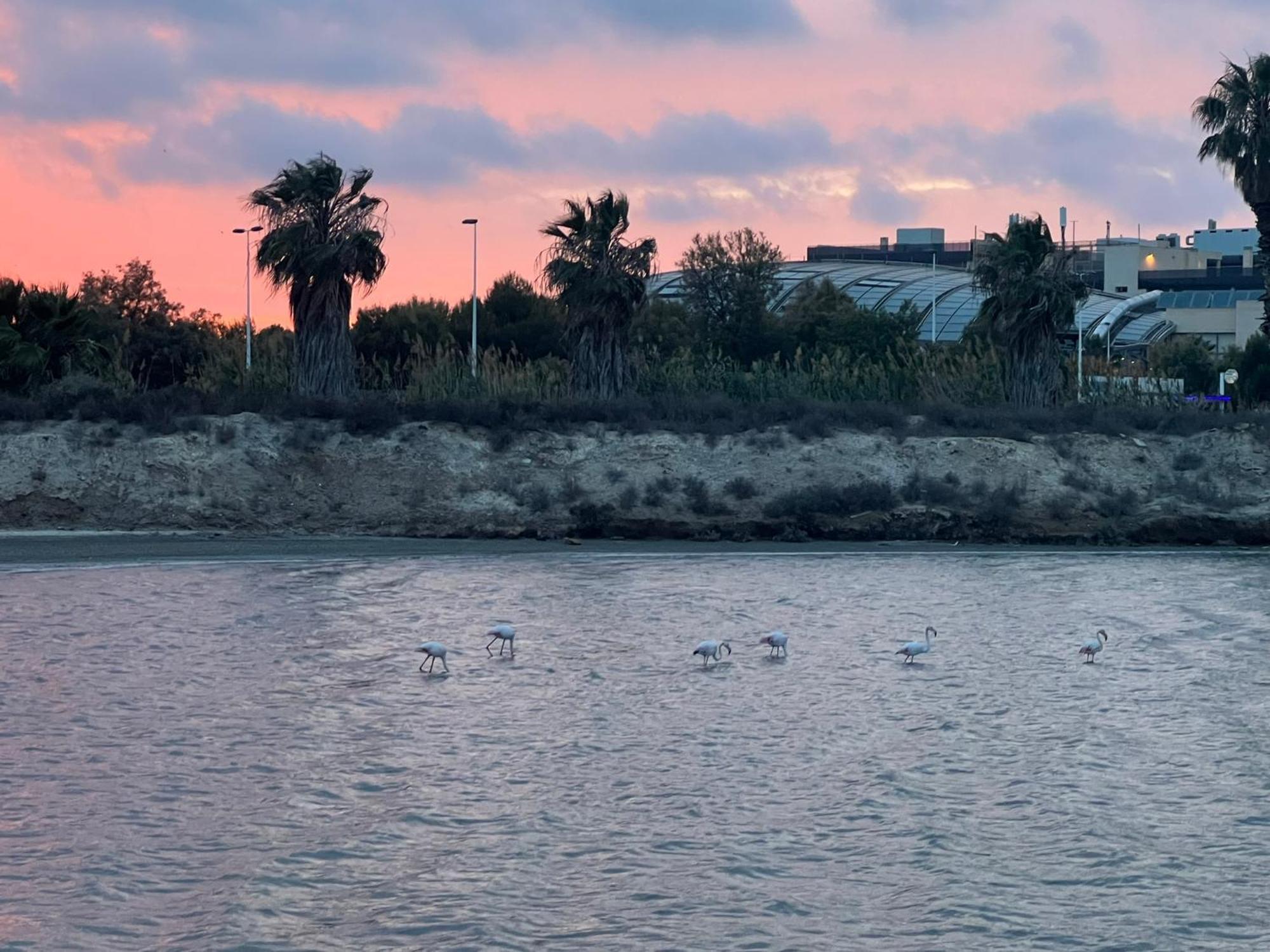 סן פדרו דל פינטר Mar Menor Paradise By Los Pinos Holidays מראה חיצוני תמונה